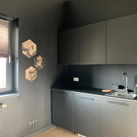 Wygodne H114 Apartment Gliwice