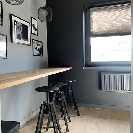 Apartment Wygodne H114 Gliwice