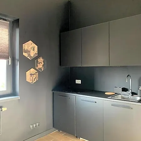 Apartment Wygodne H114 Gliwice